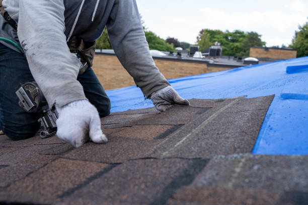 Best Roof Repair Services  in Franklin, MI