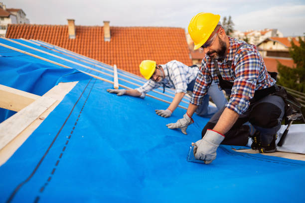 Best Roof Gutter Cleaning  in Franklin, MI